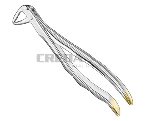 Extracting forceps, anat.