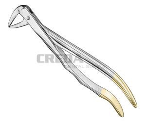 Extracting forceps, anat.