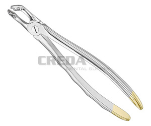 Extracting forceps, anat.