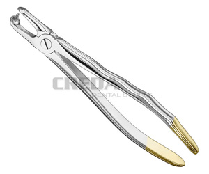 Extracting forceps, anat.