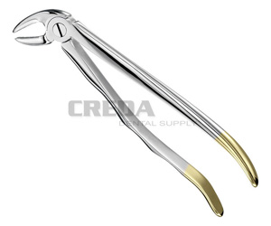 Extracting forceps, anat.