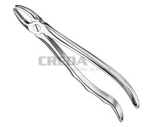 Extracting forceps, anat