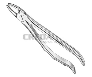 Extracting forceps, anat