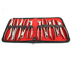 10 PCS DENTAL EXTRACTING FORCEPS KIT WITH VELVET POUCH